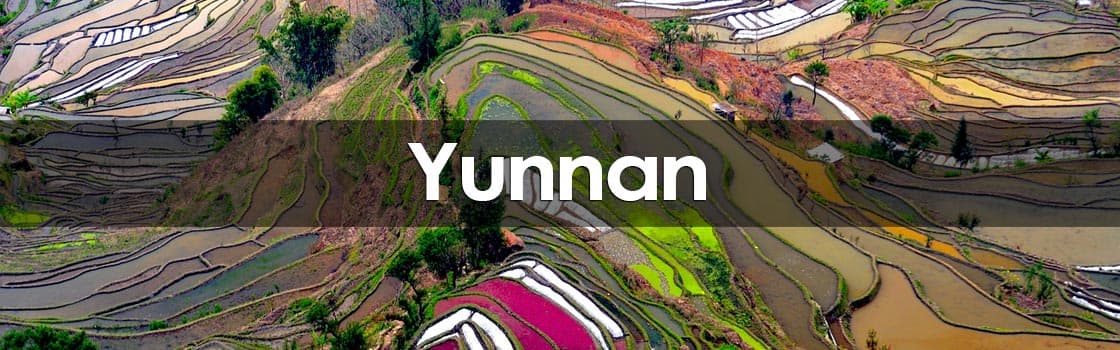 Yunnan